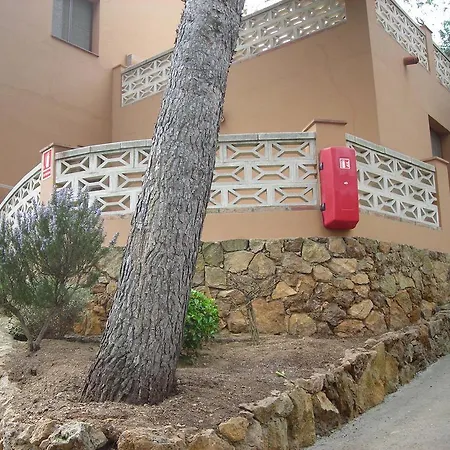 Kamp alanı Camping El Maset