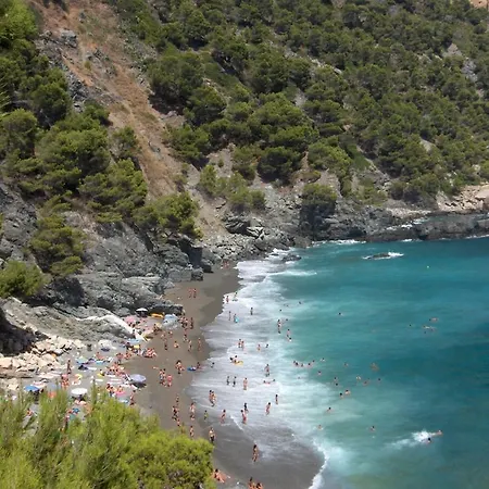 Kamp alanı Camping El Maset Begur