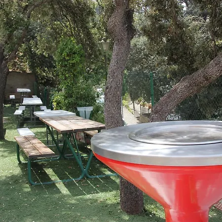 Camping El Maset Kamp alanı