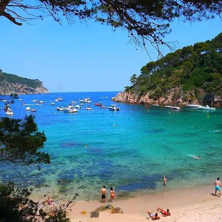 Kamp alanı Camping El Maset Begur